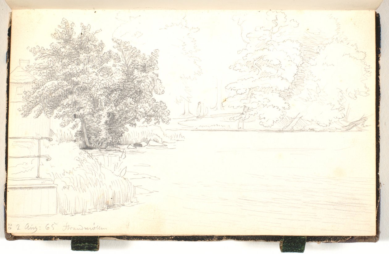 Skog vid en sjö av P.C. Skovgaard