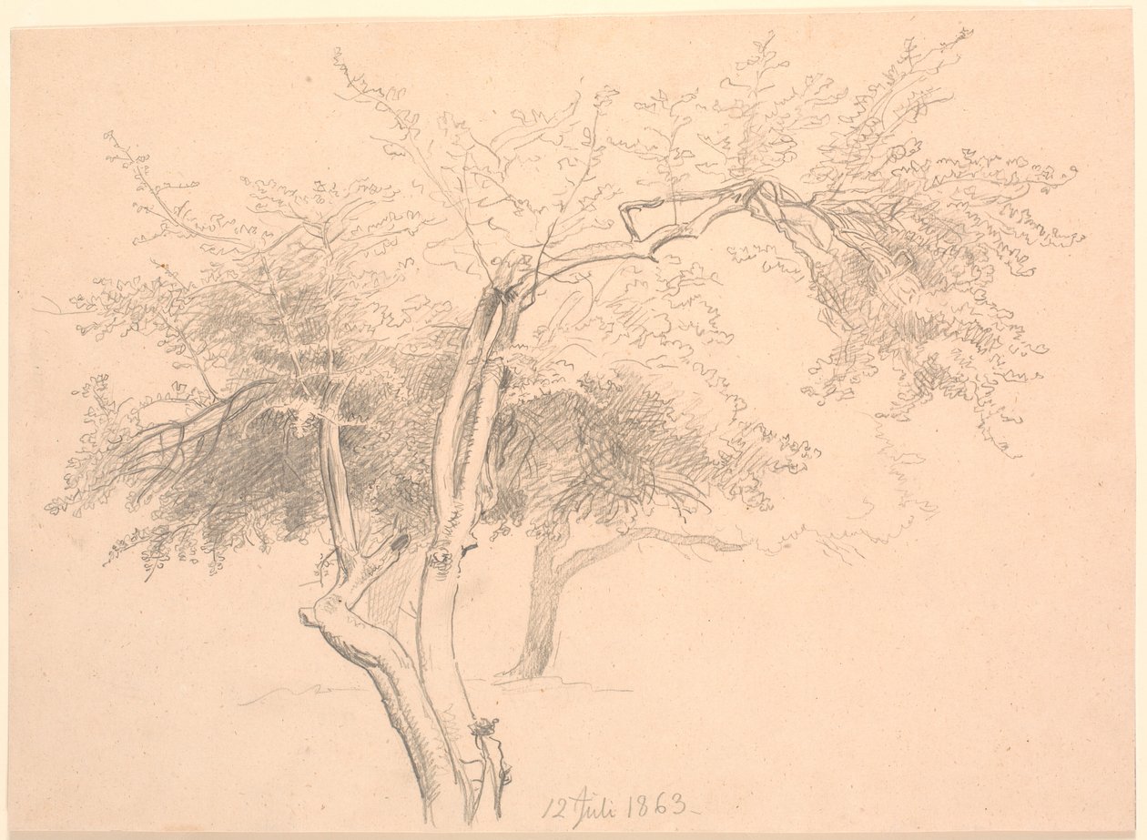 Studie av trädtopparna. av P.C. Skovgaard