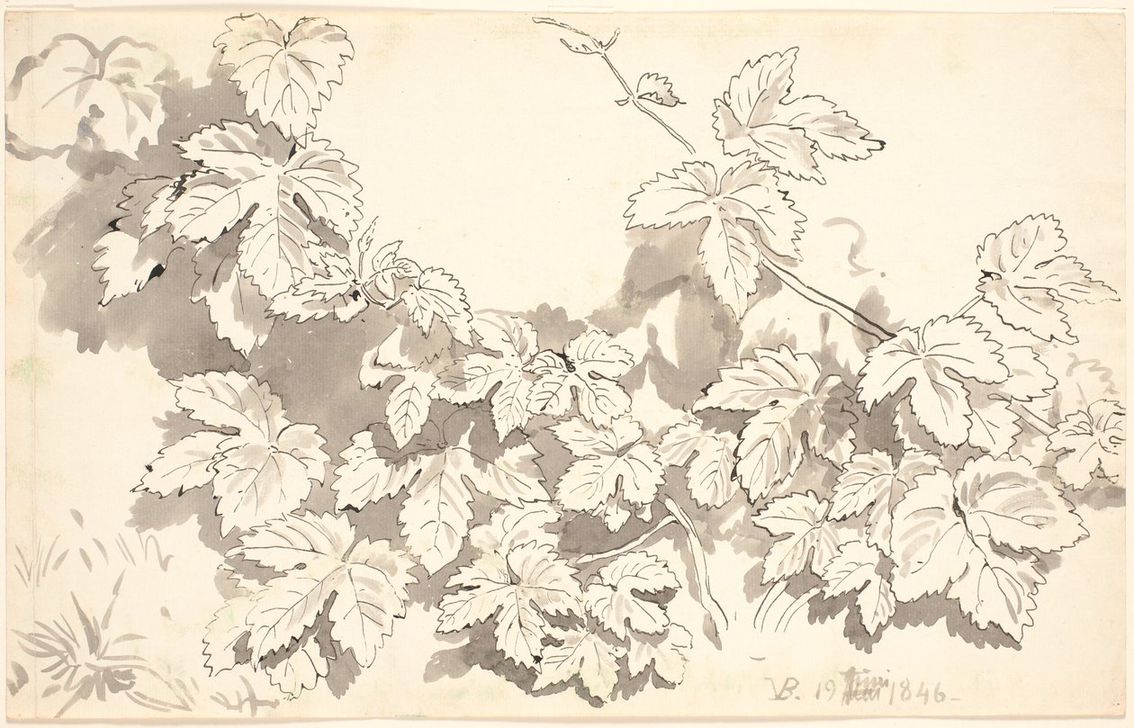 Studieblad. Egeblade. av P.C. Skovgaard