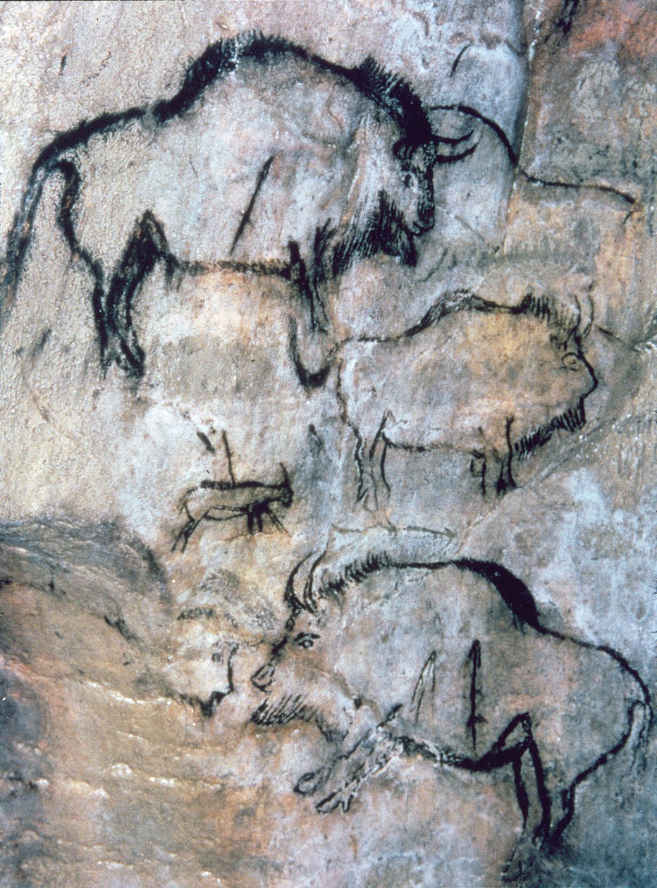 Skadad bison, Magdalenian (grottmålning) av Paleolithic Paleolithic