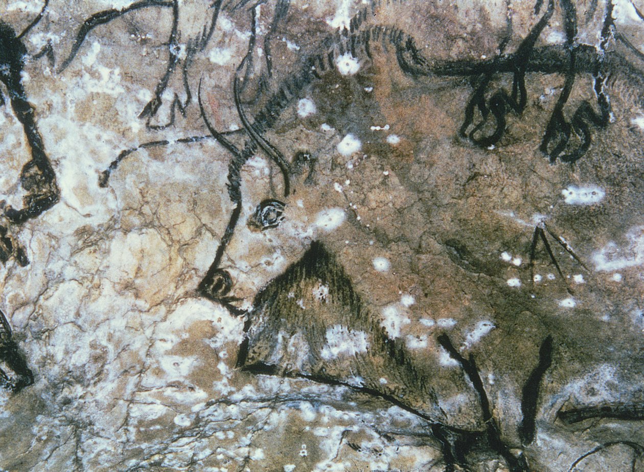 Skadad tjur, hällmålning, Magdalenian (grottmålning) av Paleolithic Paleolithic