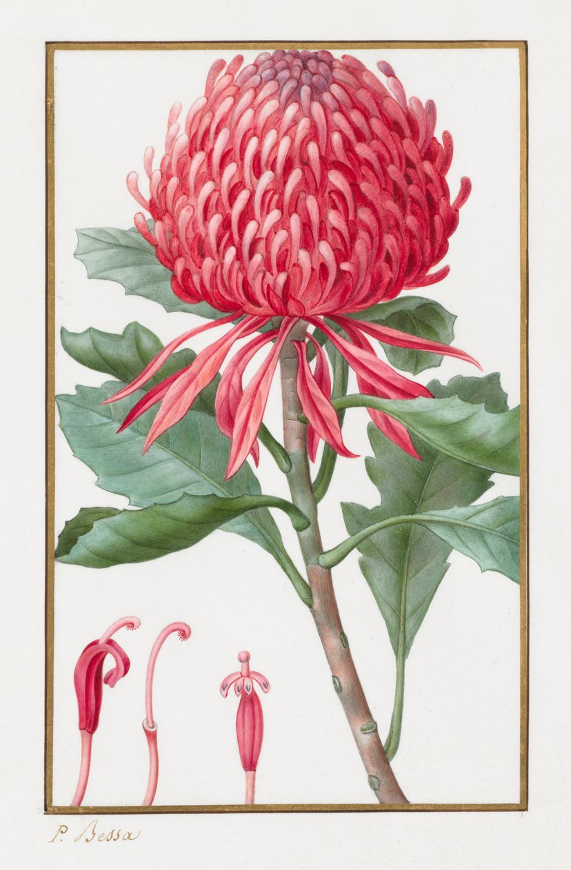 Utan titel, 1828-1835. av Pancrace Bessa