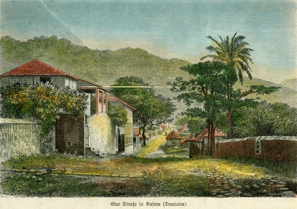 En gata i Roseau, Dominica, c1880. av Pann