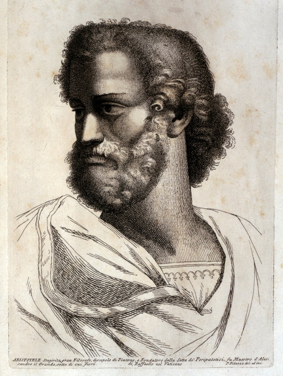 ARISTOTLE av Paolo Fidanza