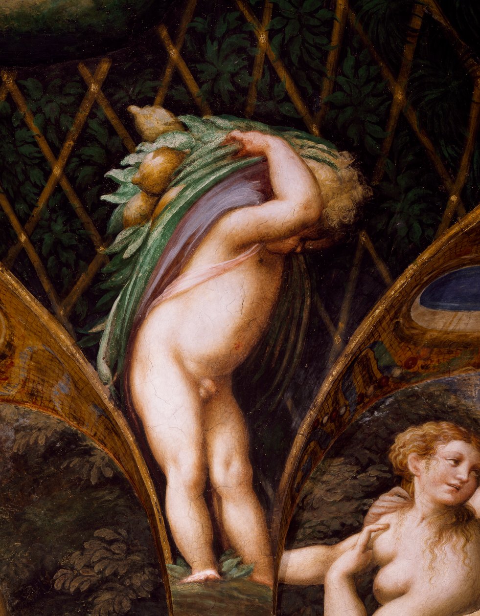 Putto, från Myth of Diana and Actaeon av Parmigianino