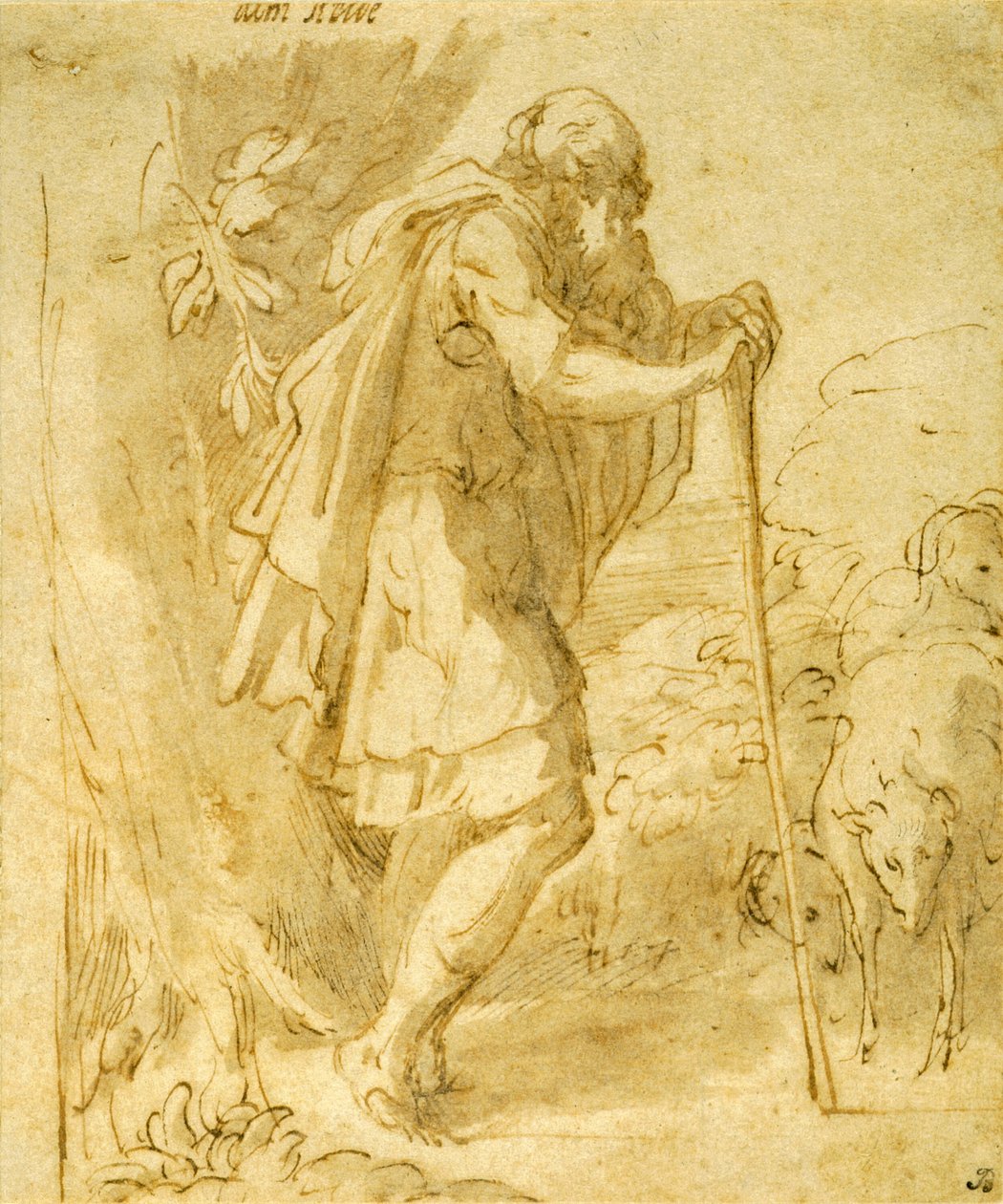Gammal herde som lutar sig mot en stav av Parmigianino