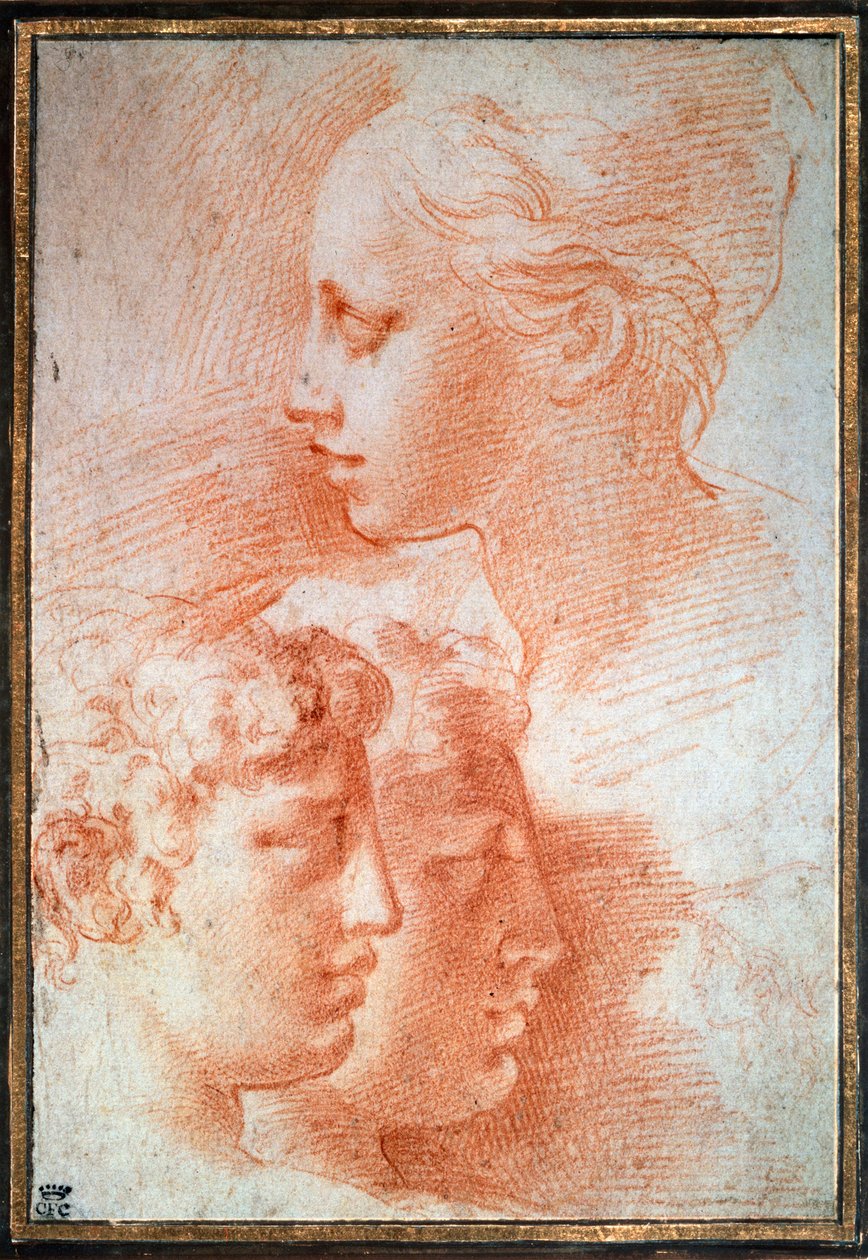 Studie av huvudena, c1527 av Parmigianino
