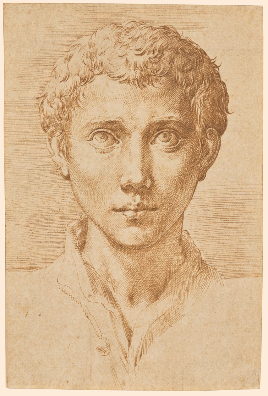 Huvudet av en ung man av Parmigianino