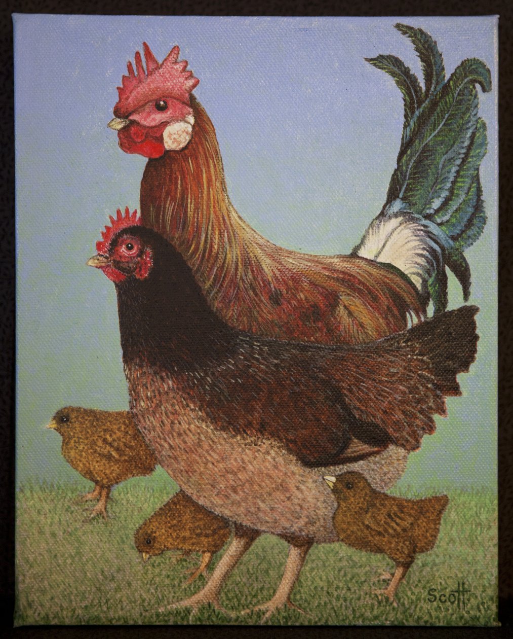 Familjen Kyckling, 2016 av Pat Scott