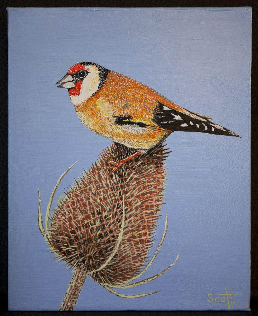 Goldfinch, 2016 av Pat Scott