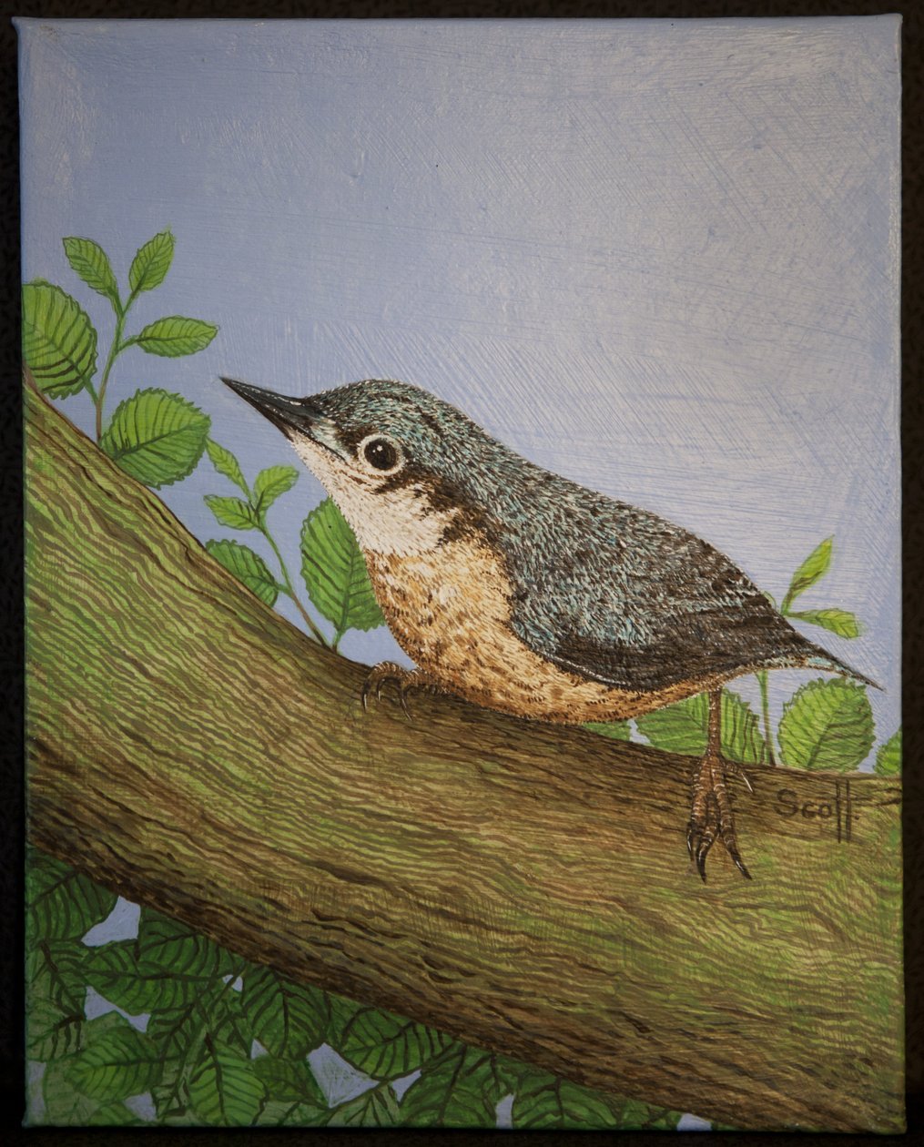 Nuthatch, 2016 av Pat Scott