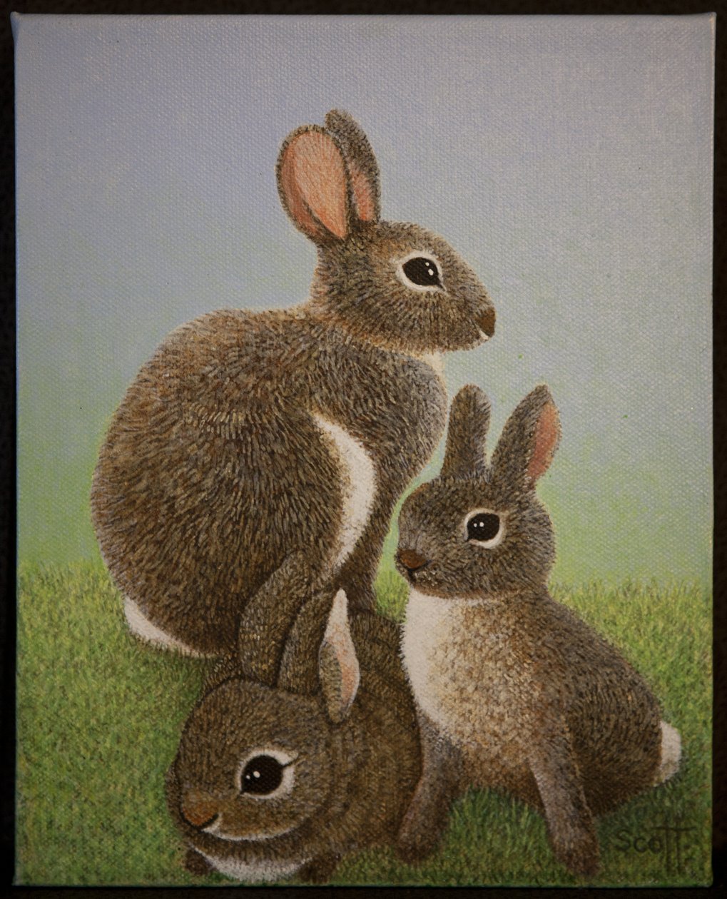 Familjen Rabbit, 2016 av Pat Scott
