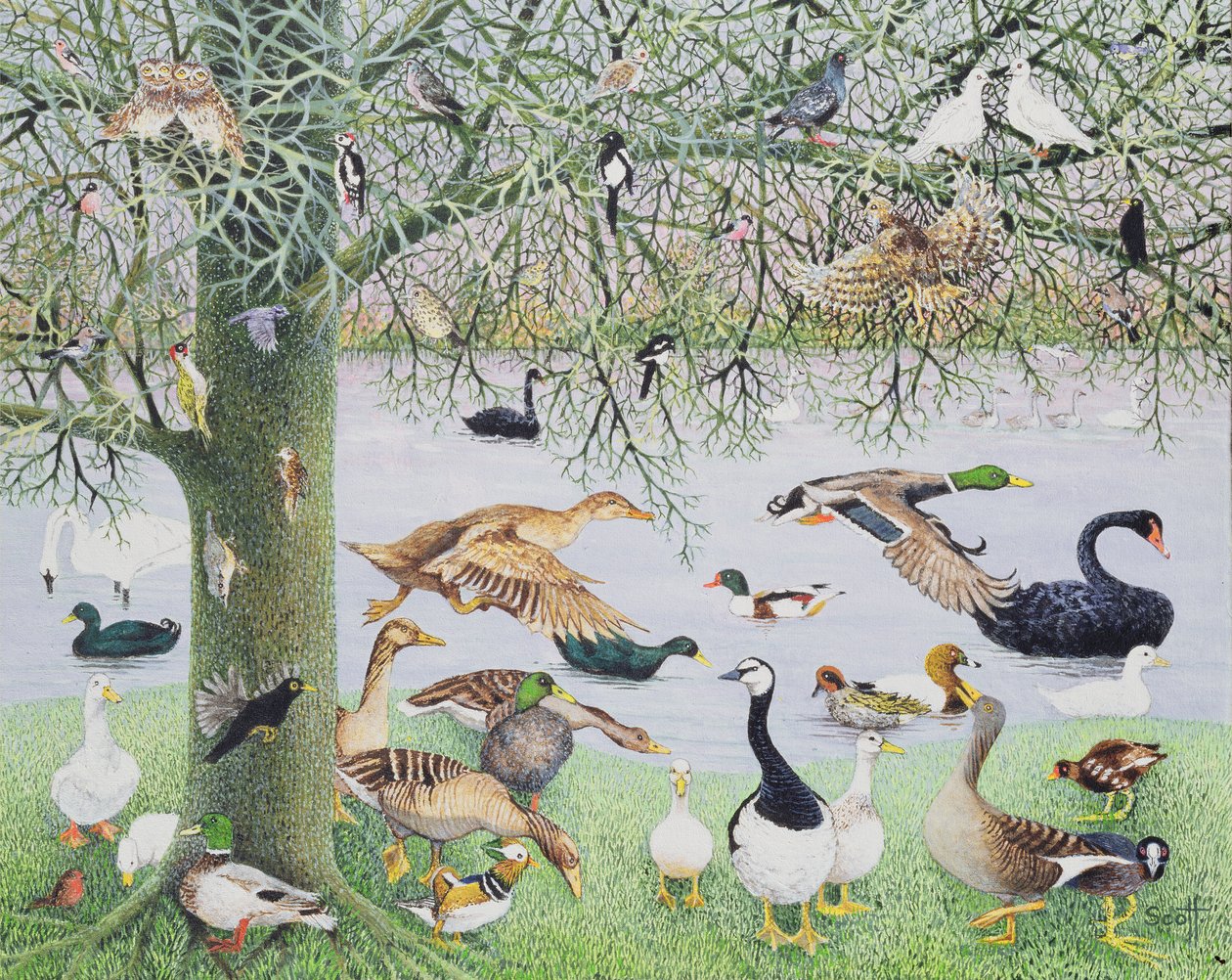 The Odd Duck (akryl på duk) av Pat Scott