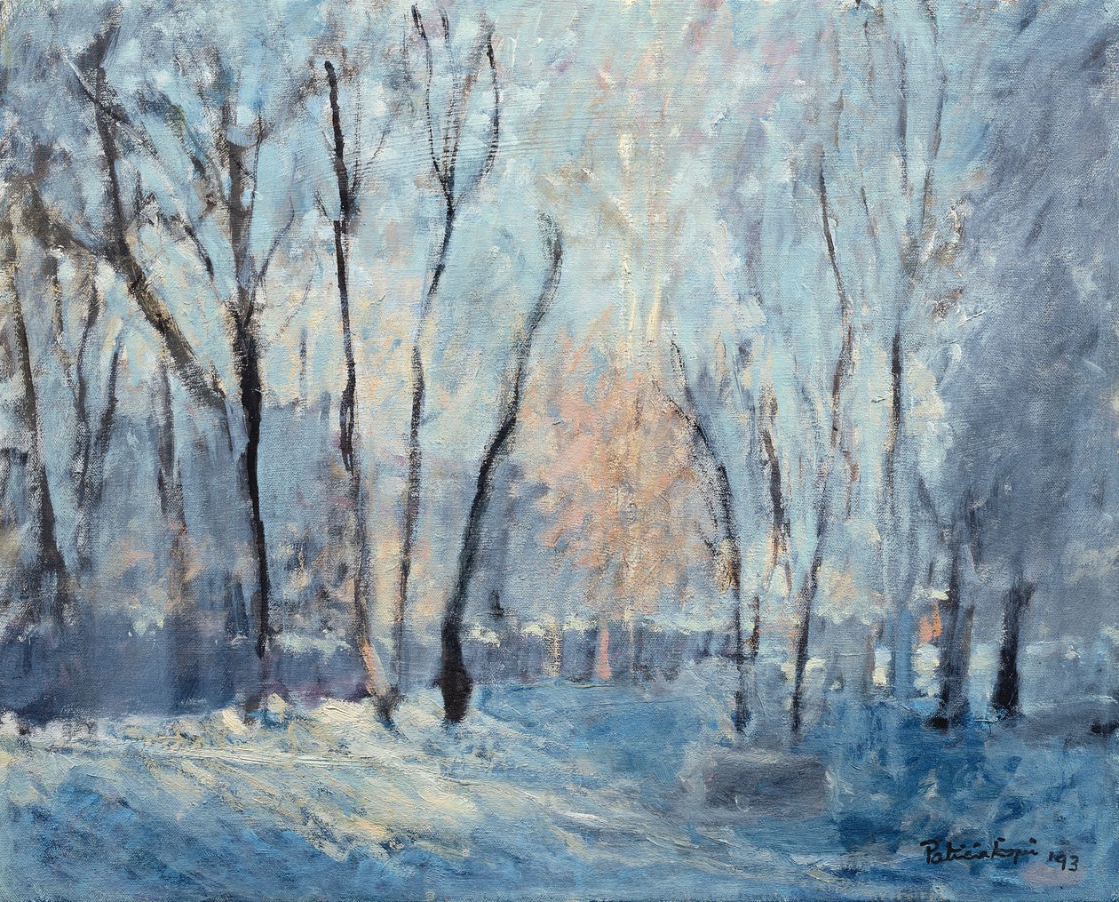 Snow in the Garden, 1993 av Patricia Espir