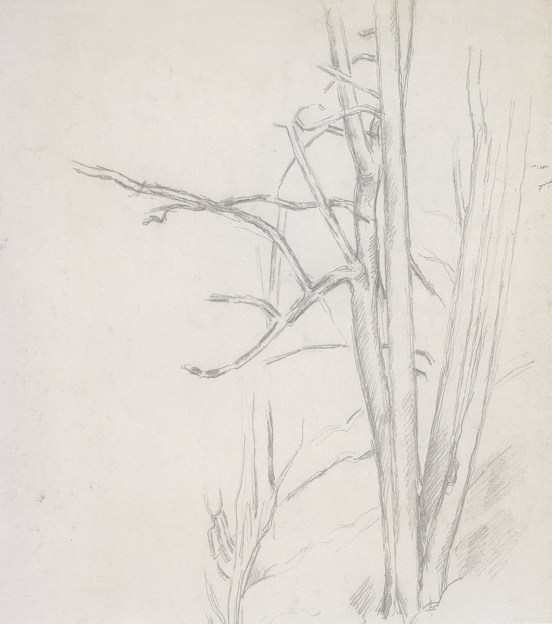 Trädstudie av Paul Cézanne