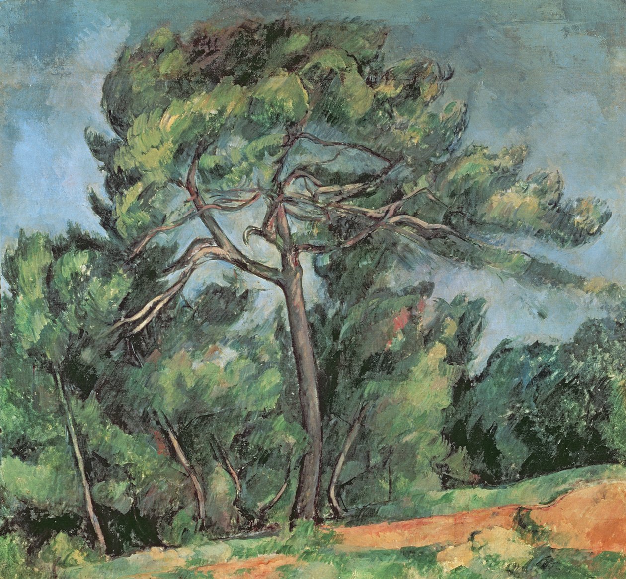 The Large Pine, c.1889 swed av Paul Cézanne