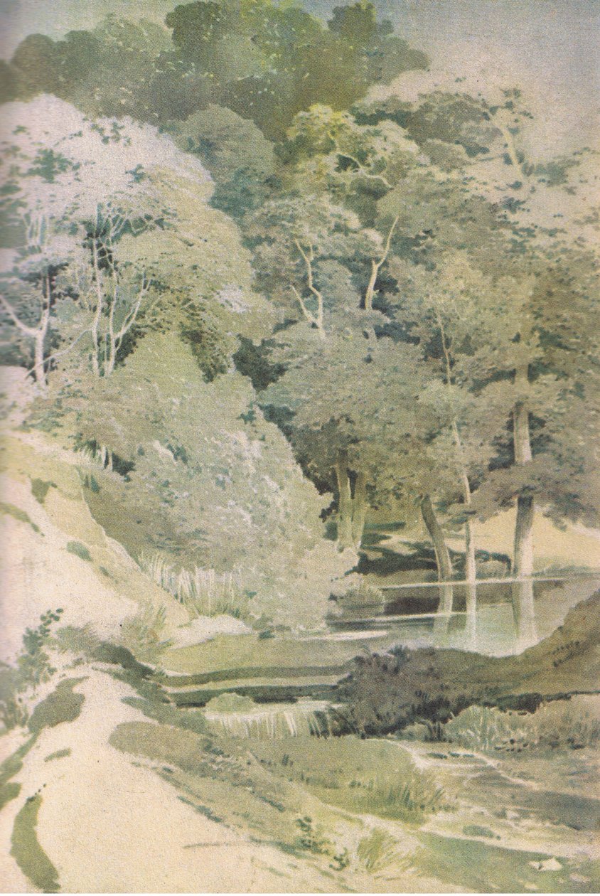 Ancient Beech in Windsor Forest, Nature in Britain publicerad av Collins, 1946 av Paul Sandby