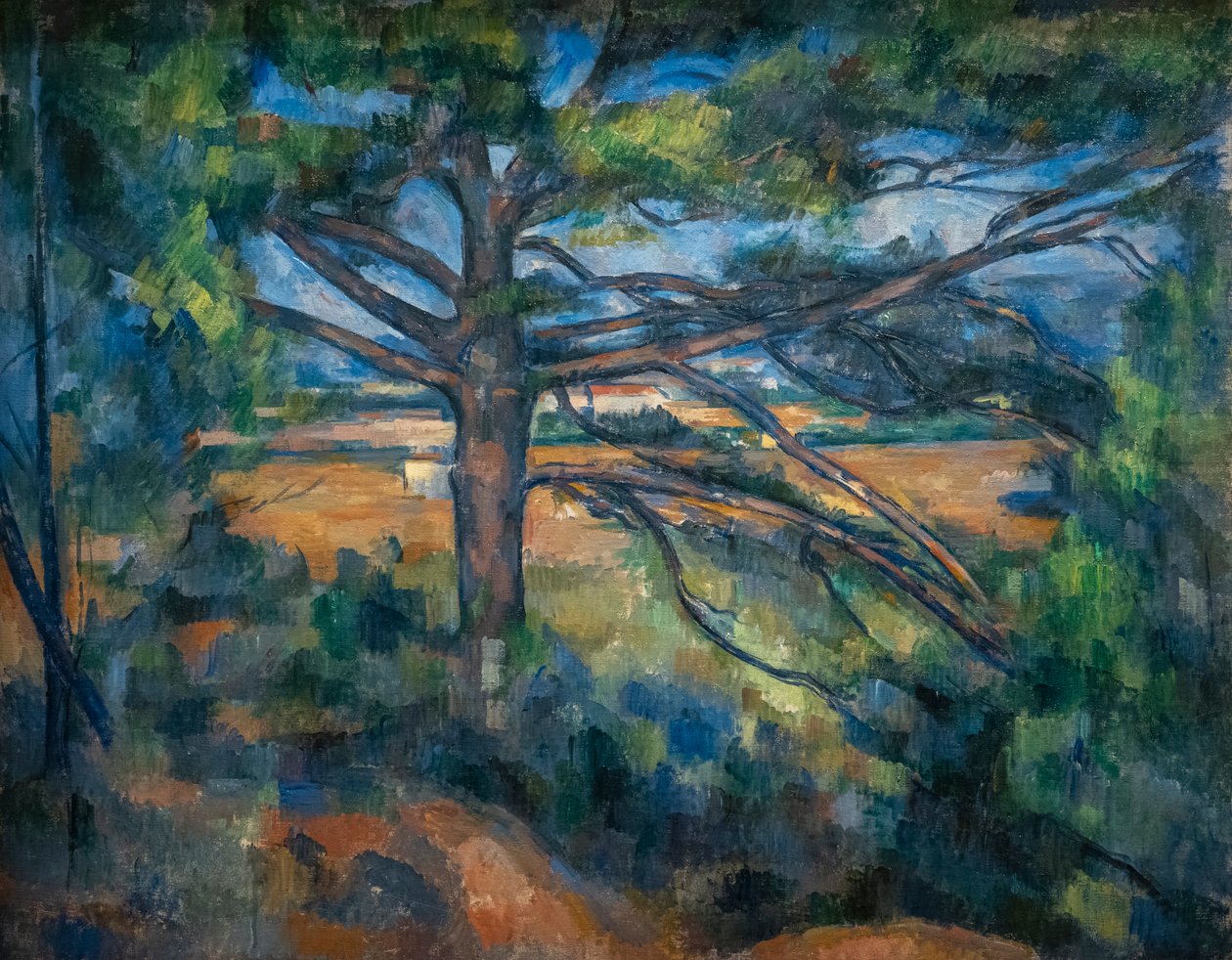 Great Pine nära Aix av Paul Cézanne