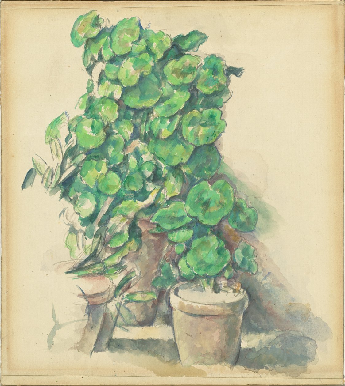 Pelargoner av Paul Cézanne