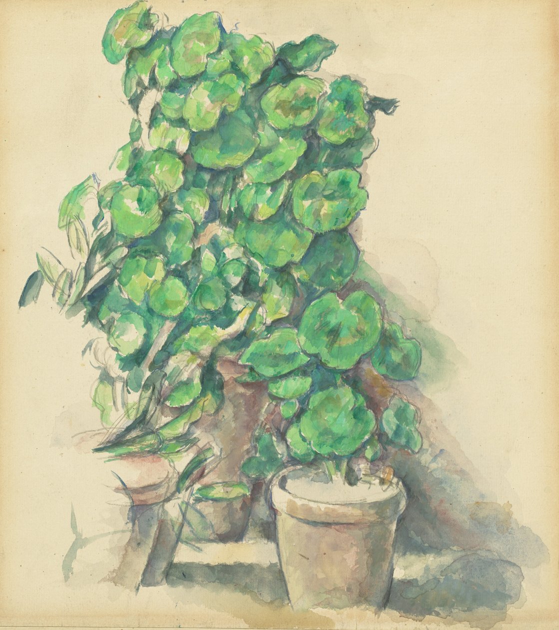 Pelargoner, 18881890. av Paul Cézanne