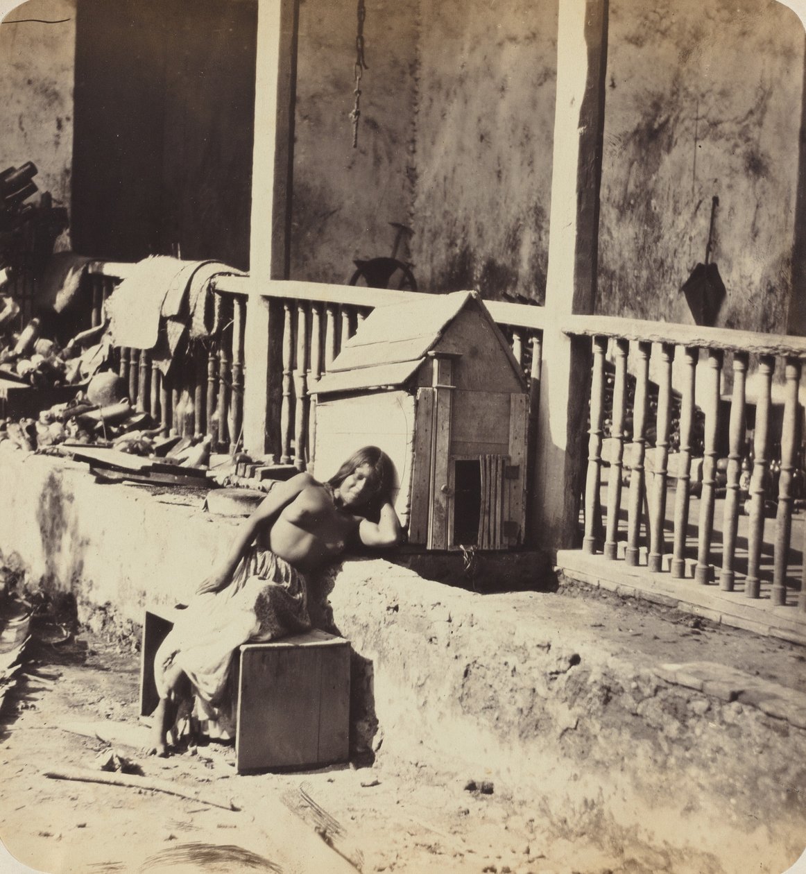 Garvels hund (Martinique) av Paul Emile Miot