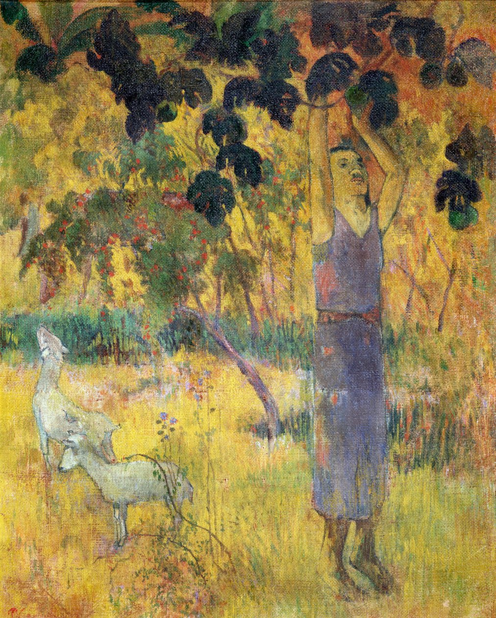 Man plockar frukt från ett träd, 1897. av Paul Gauguin