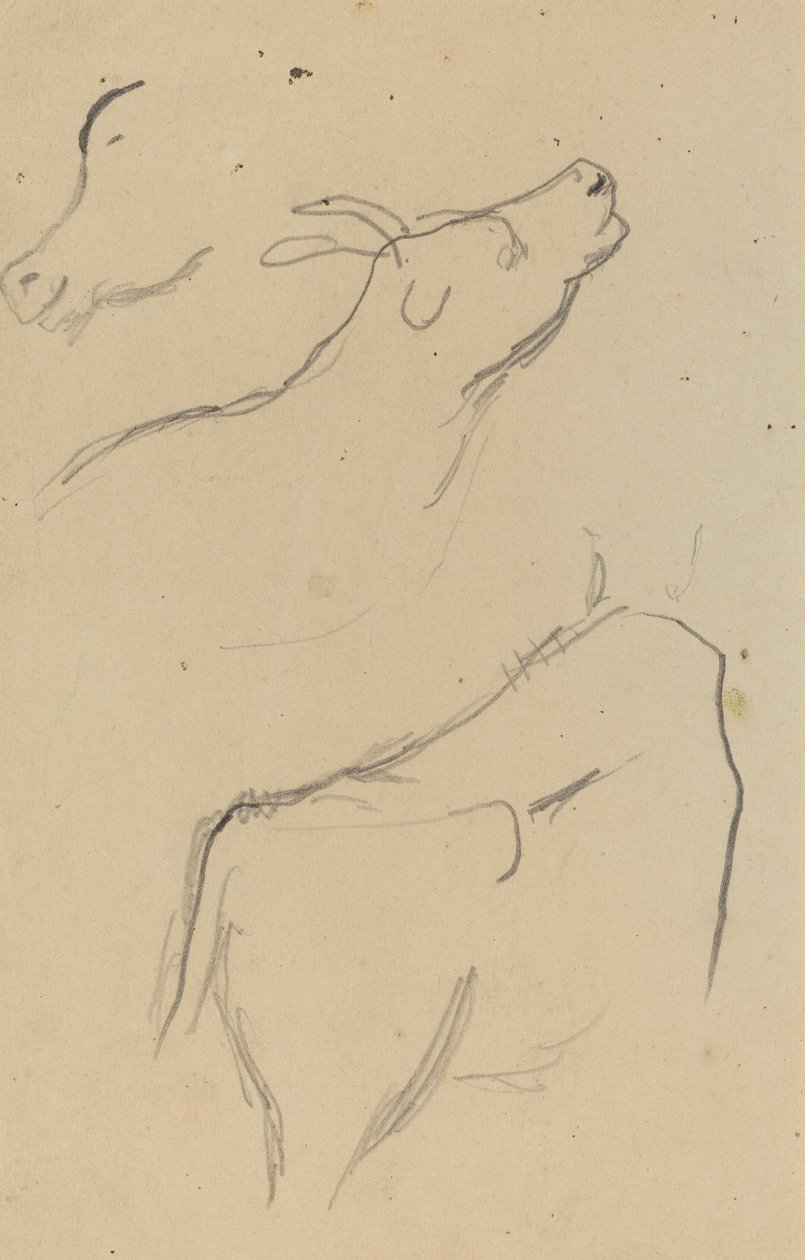 Studier av en ko [verso] av Paul Gauguin