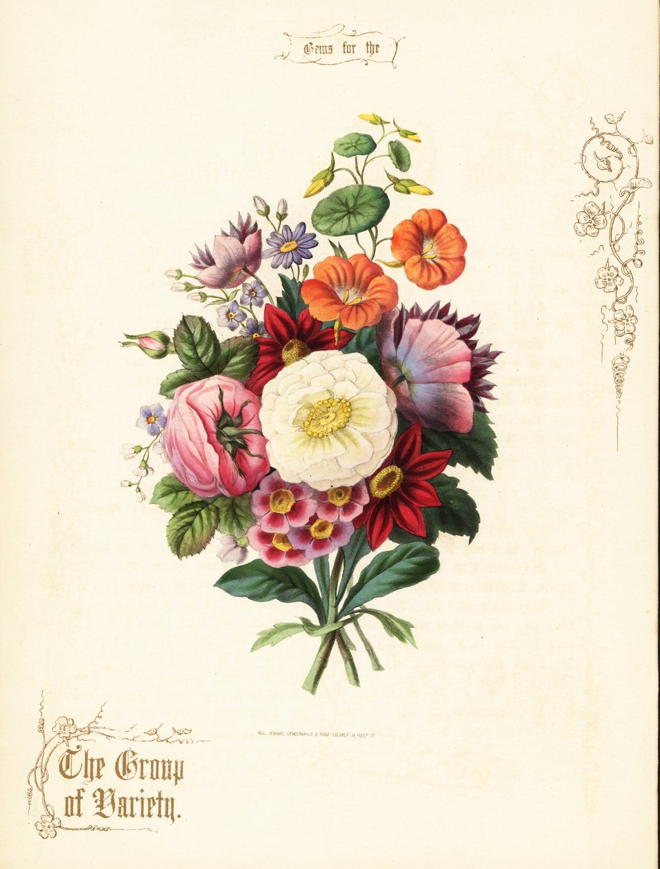 Bukett av vit ros, dahlia, nasturtium, auricula. av Paul Jerrard