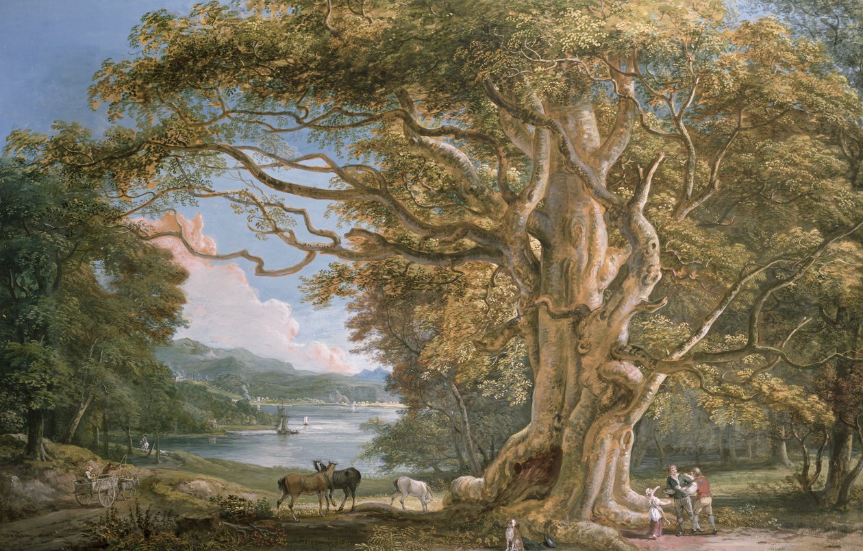 Forntida bokträd av Paul Sandby