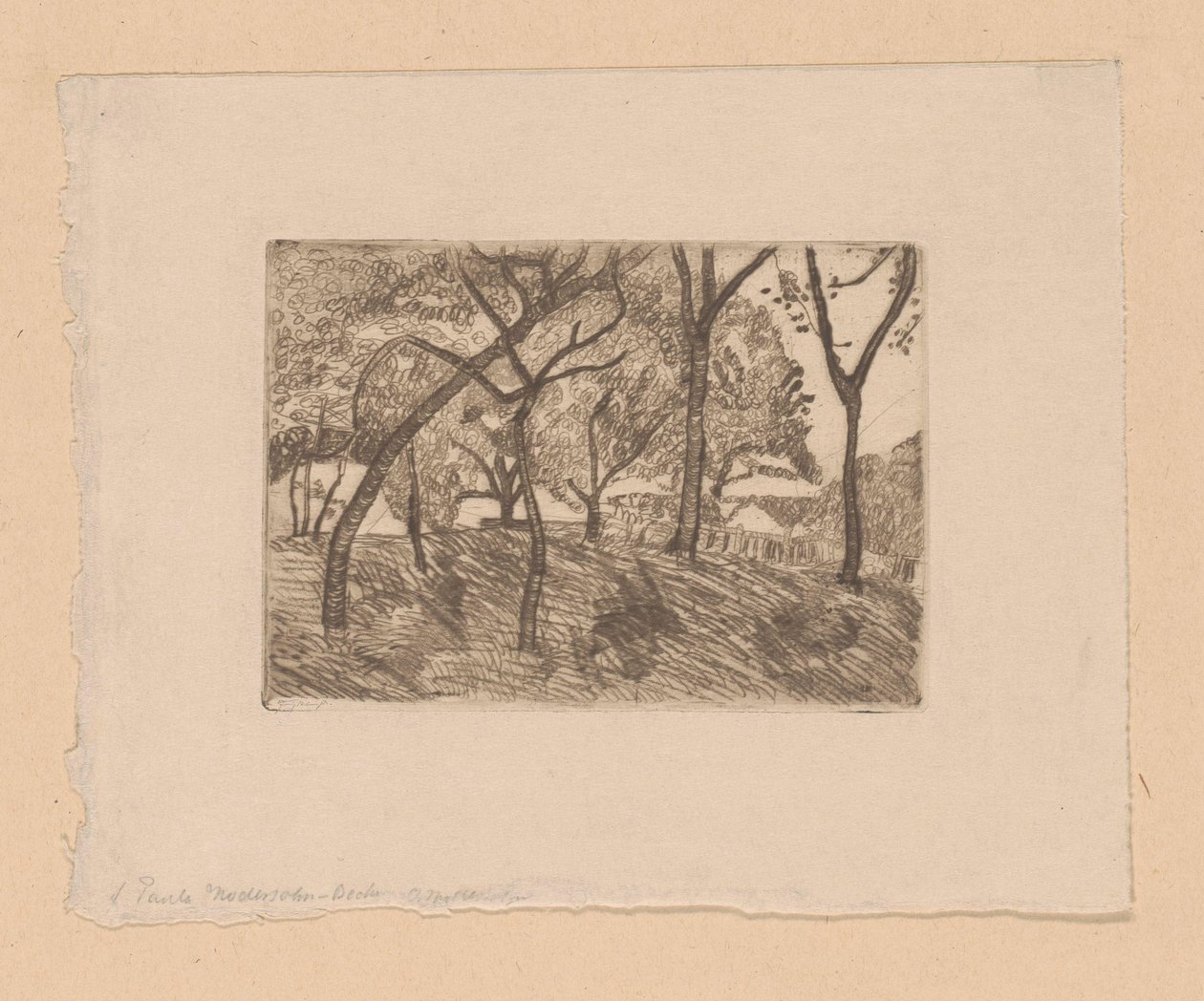 Skogsutsikt av Paula Modersohn Becker (signed by artist)