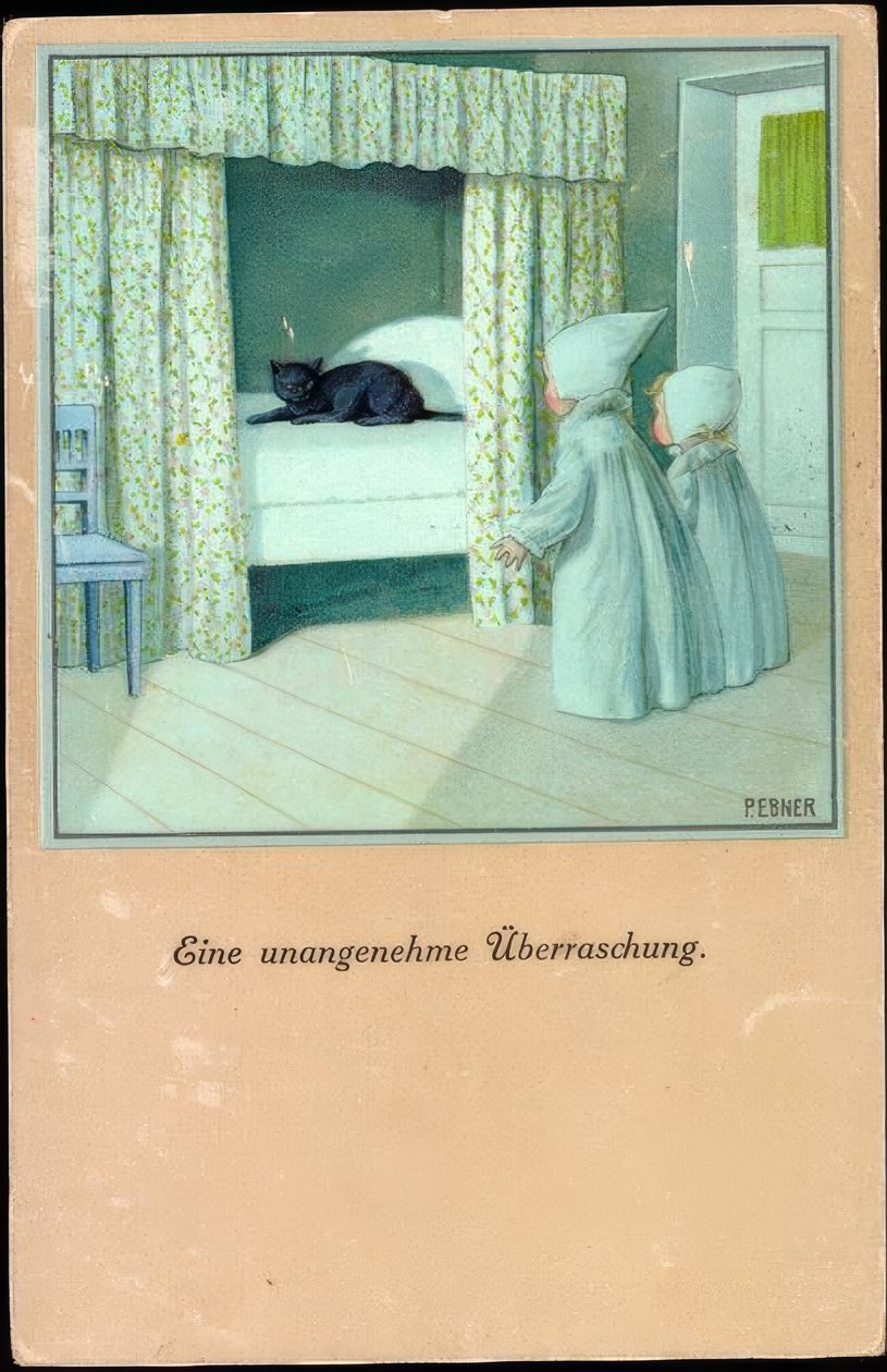 En obehaglig överraskning av Pauli Ebner
