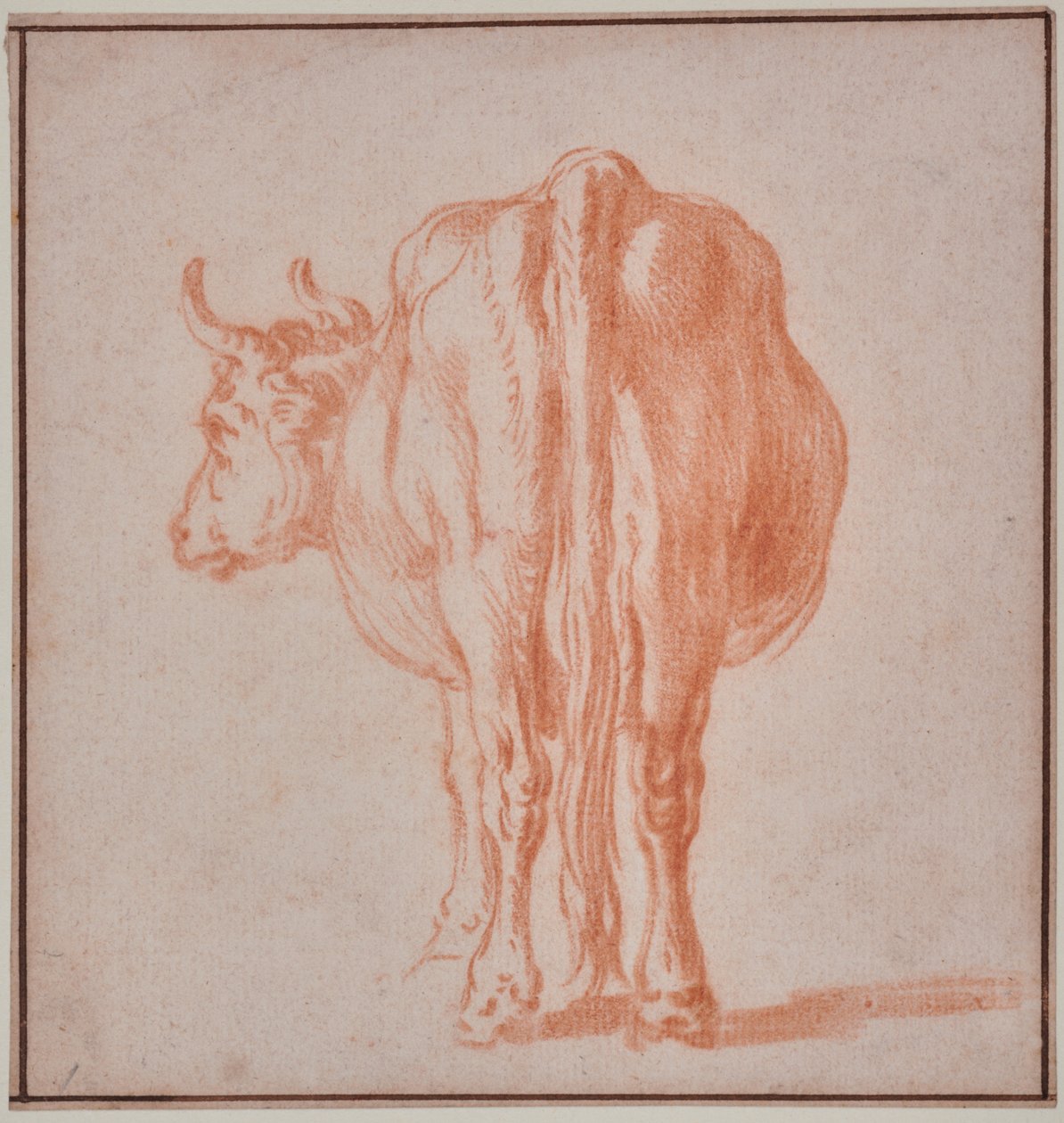Ko (djurstudie) av Paulus Potter