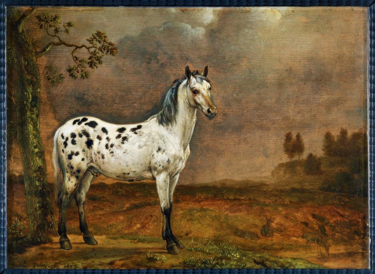 Den plättiga hästen av Paulus Potter