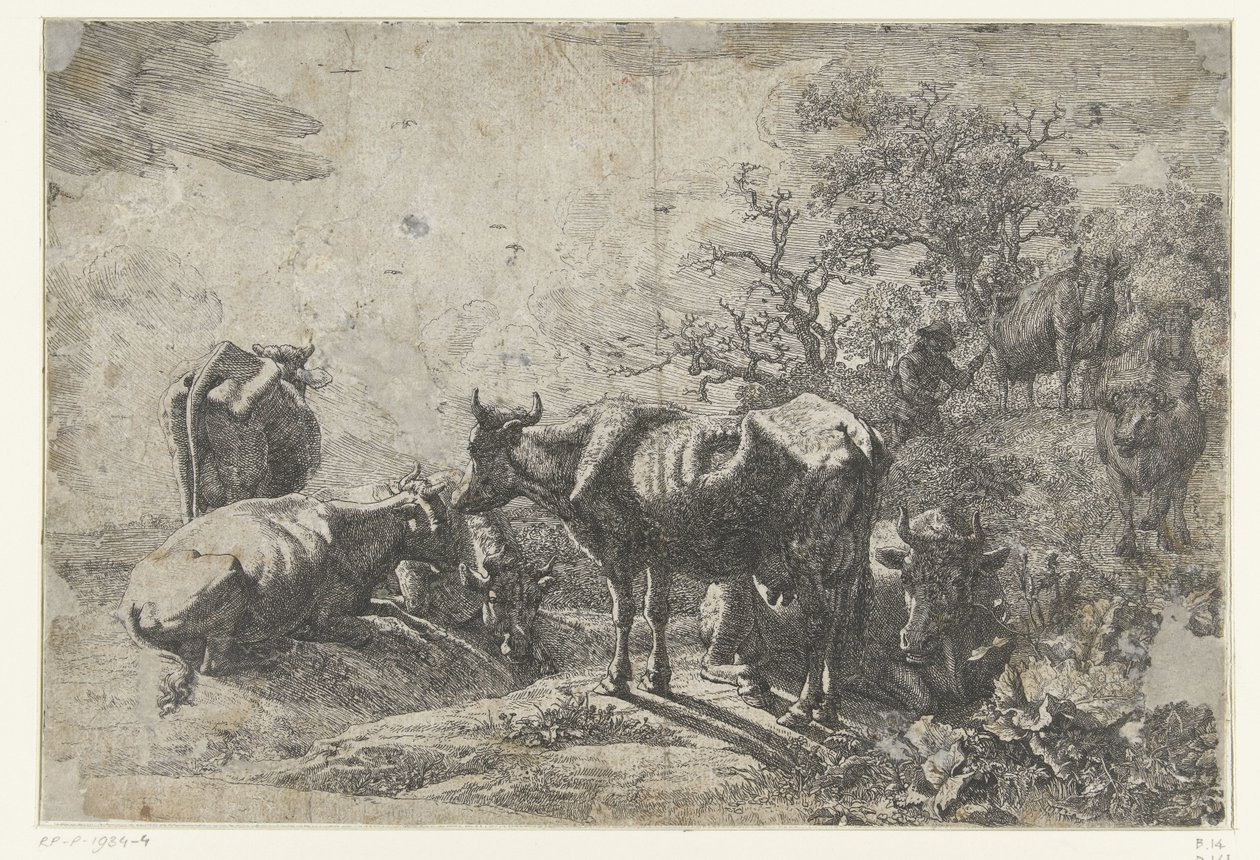 herden av Paulus Potter