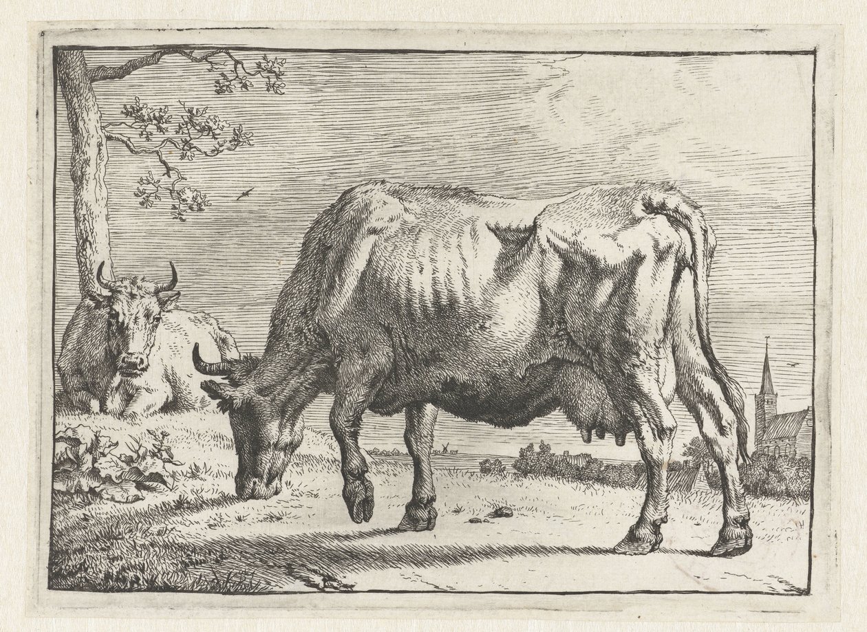 Betande ko The Bull Book (serietitel) av Paulus Potter