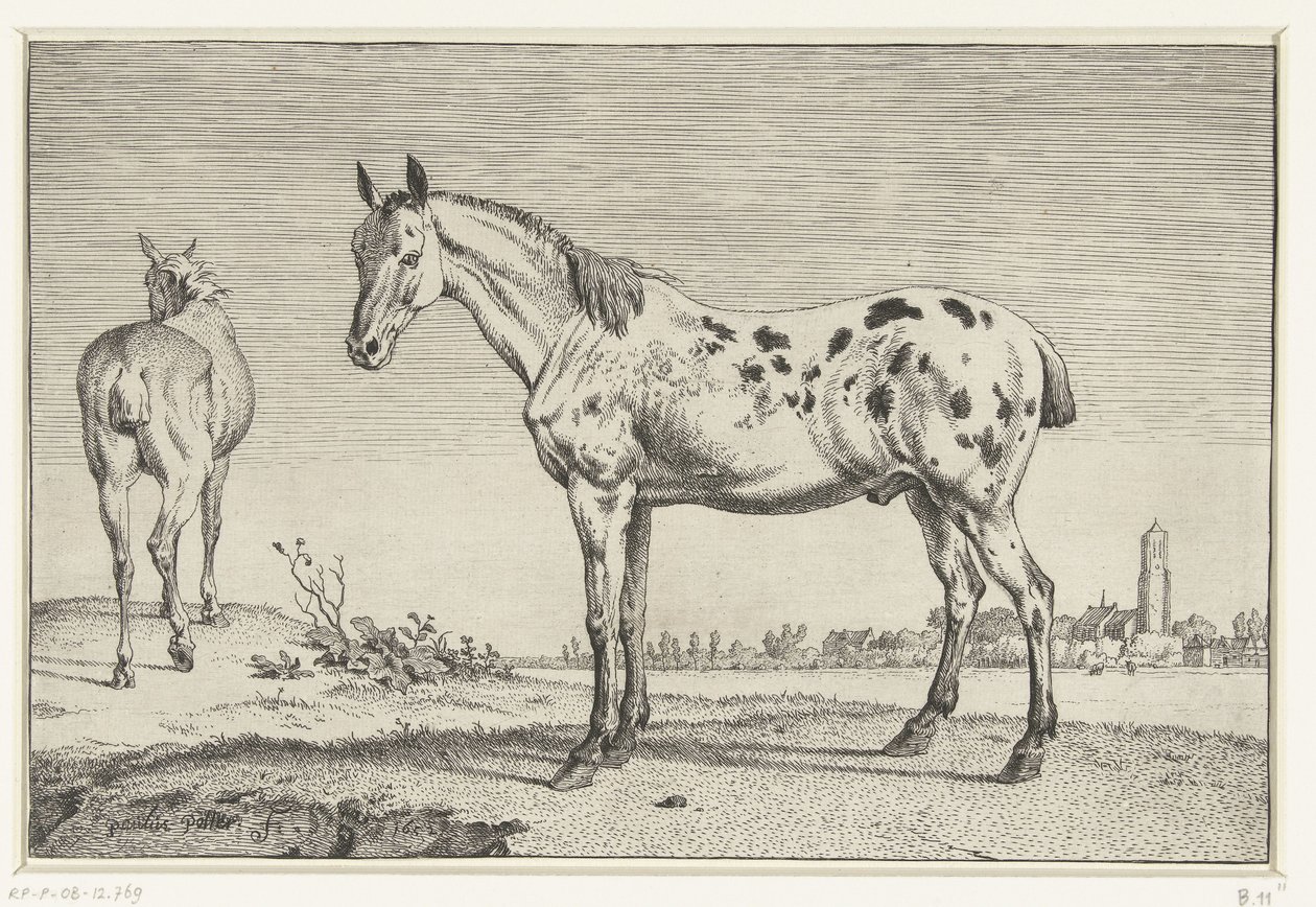 Den dockade hästen Hästar (serietitel) av Paulus Potter