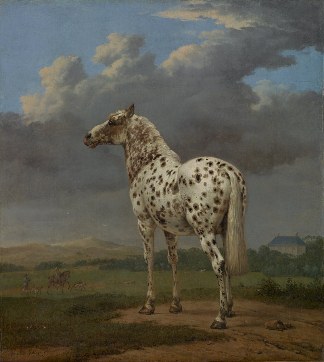 Piebald Horse, ca 1654 av Paulus Potter