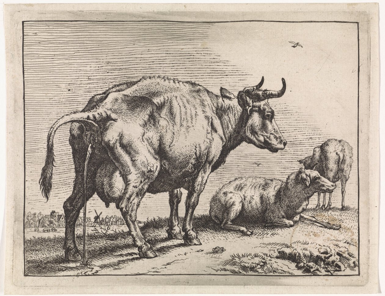 pissande ko The Bullen-häftet (serietitel) av Paulus Potter