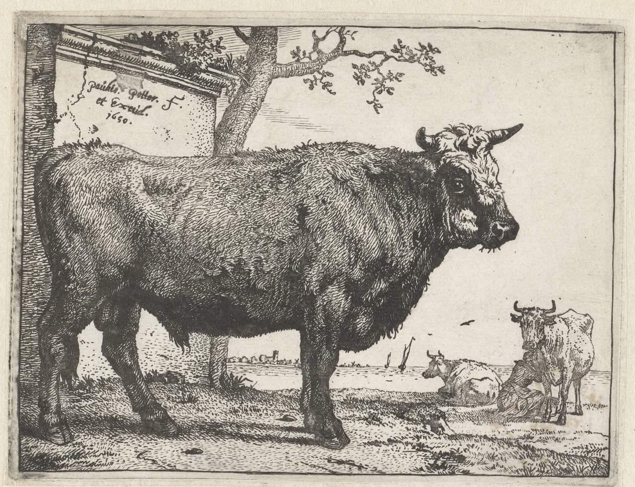Oxen The Bull Book (serietitel) av Paulus Potter