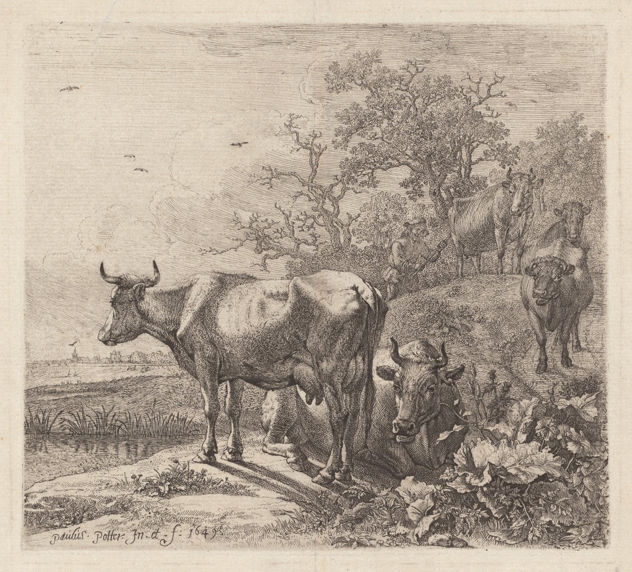 Koherden av Paulus Potter