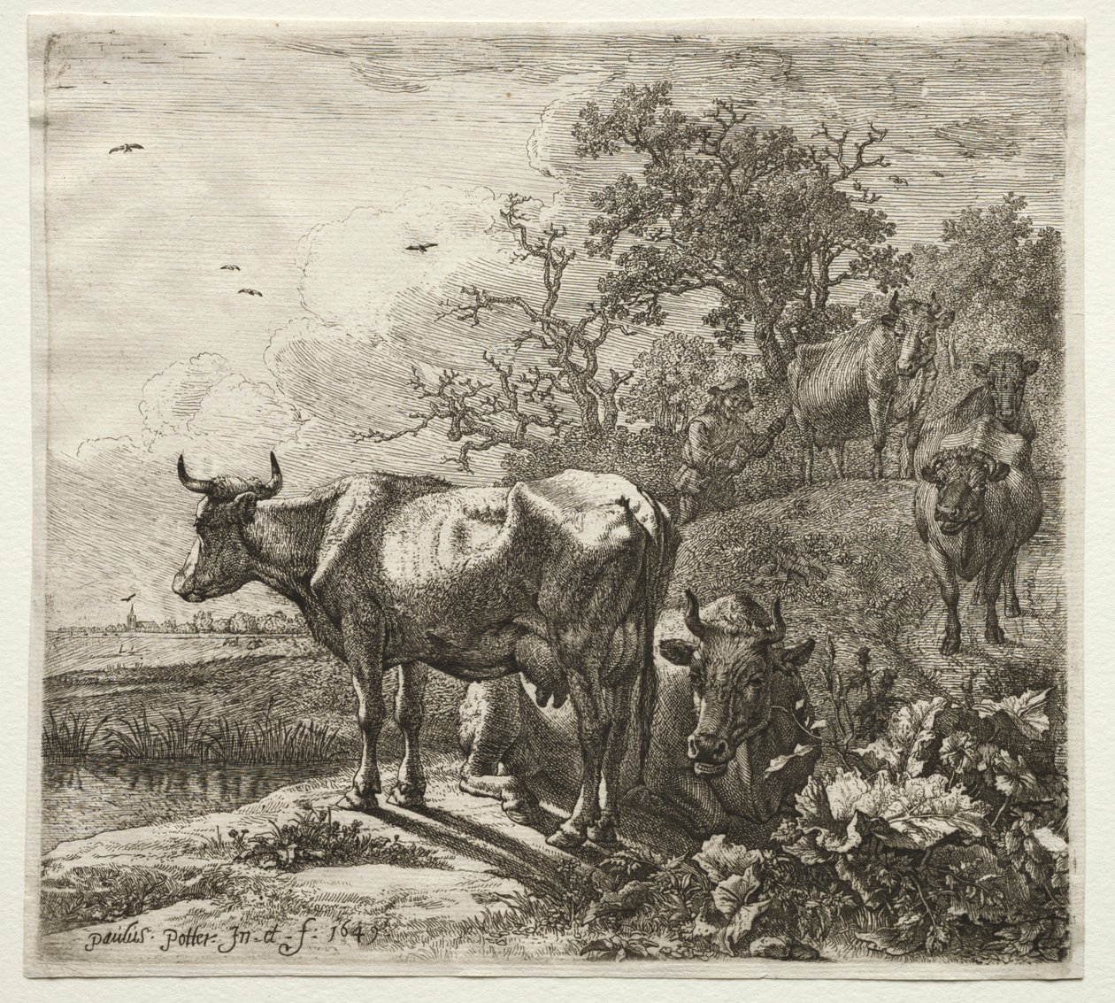 Koherden. av Paulus Potter