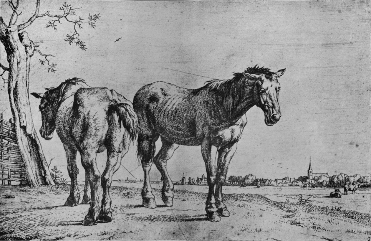 De två ploghästarna, 1652 av Paulus Potter