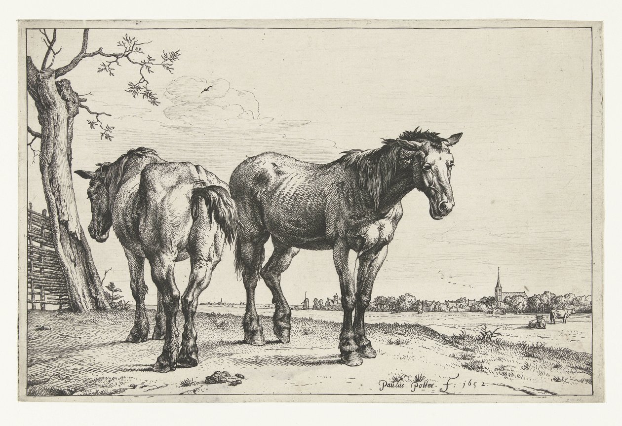 Två ploghästar Hästar (serietitel) av Paulus Potter