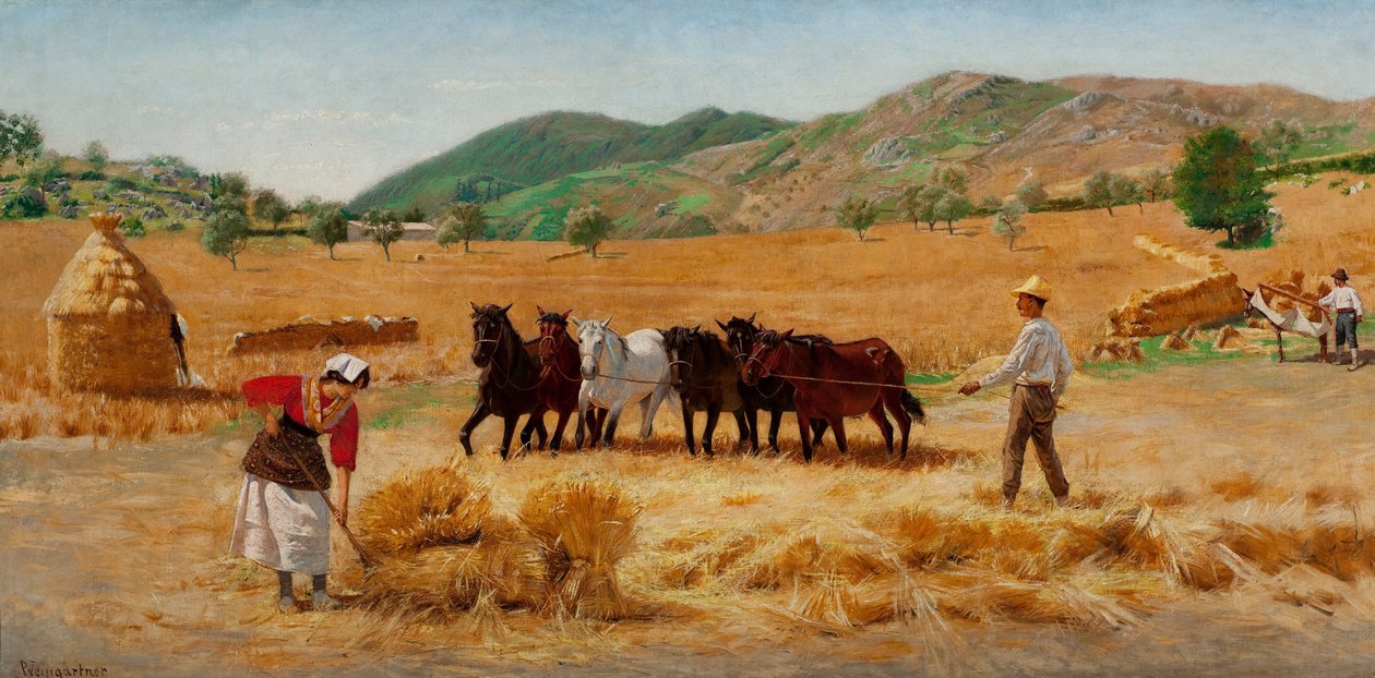 Harvest in Anticoli av Pedro Weingärtner