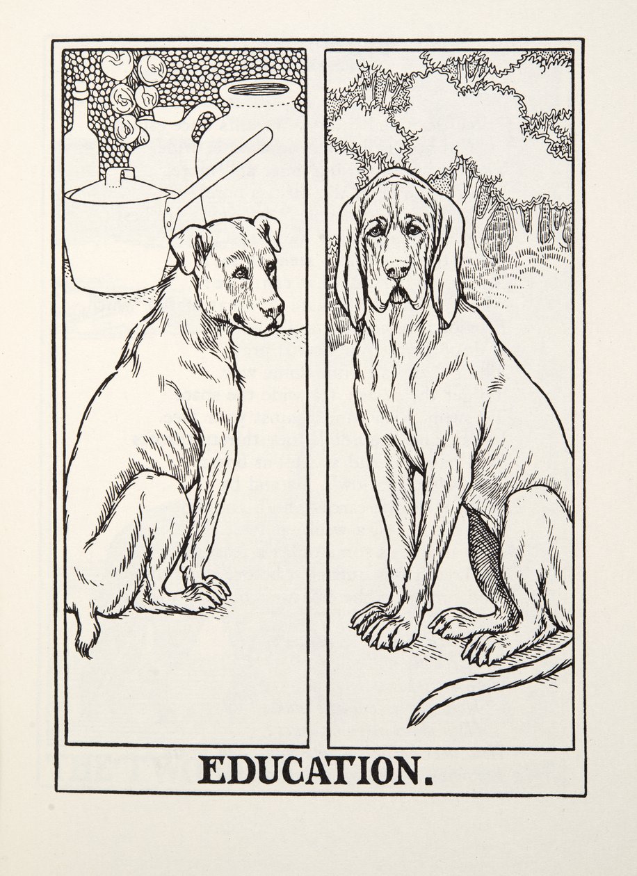 Education, från Fontaine Fables, pub. 1905 av Percy J. Billingshurst