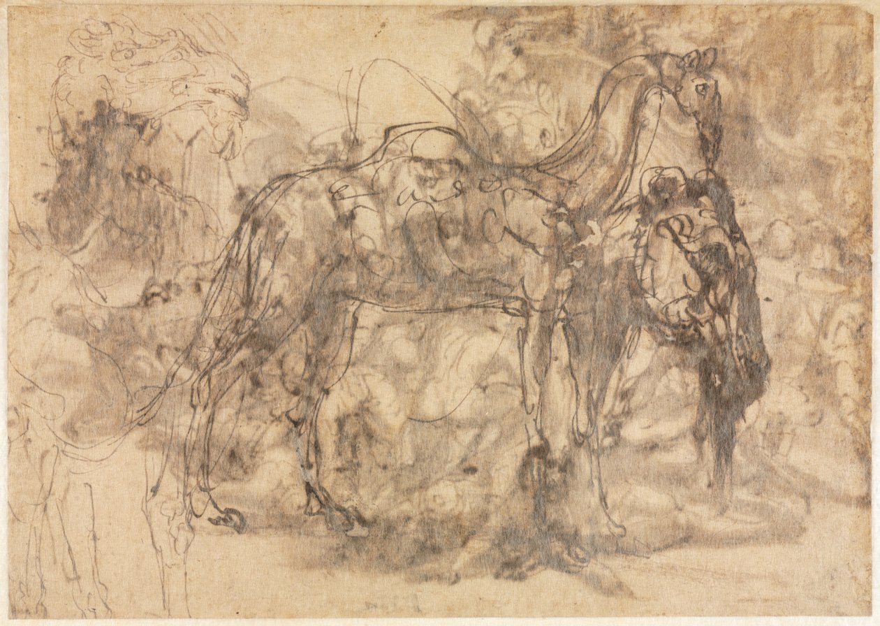 Skisser av djur ago, ca. 154547. av Perino del Vaga