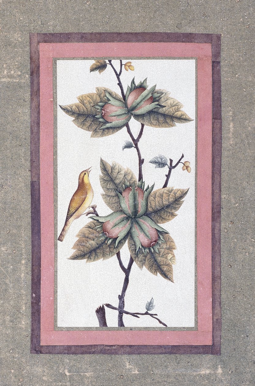 Fågel- och blomsterstudie, c.1780 av Persian School