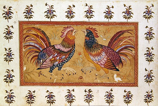Cock Fight (gouache på papper) av Persian School