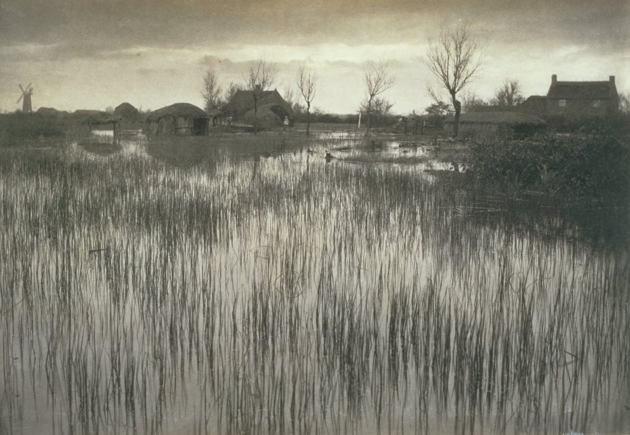 A Rushy Shore, Life and Landscape on the Norfolk Broads, c.1886 av Peter Emerson und Thomas Goodall