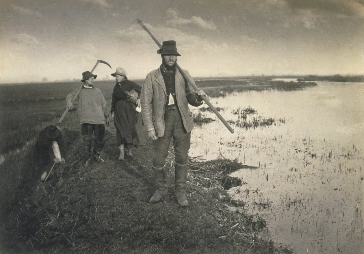 Cutting the Gladdon, Life and Landscape on the Norfolk Broads, c.1886 av Peter Emerson und Thomas Goodall